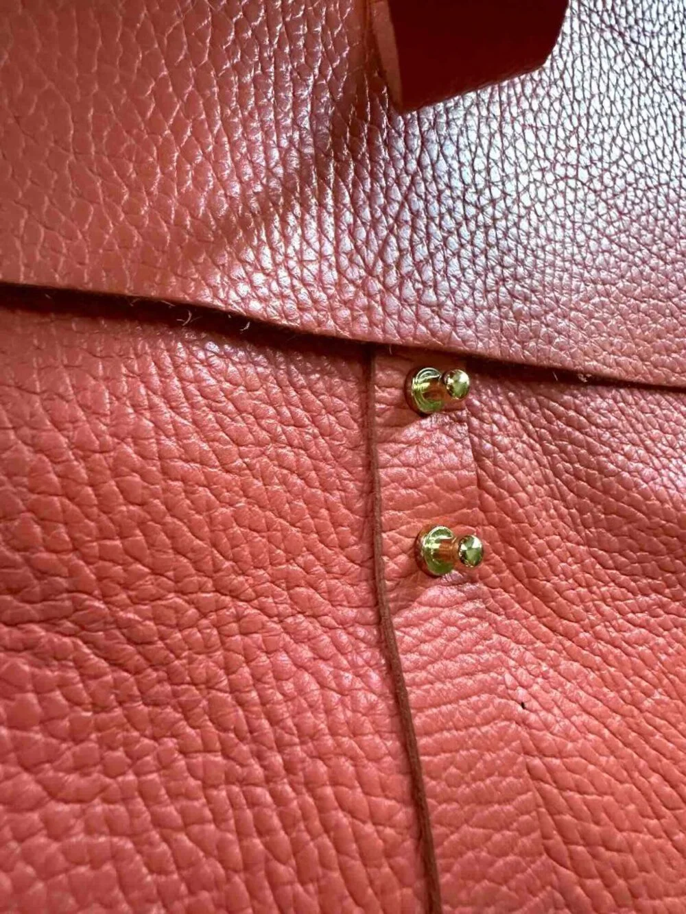 Beautiful CUYANA pebbled leather Laptop Document Flap Sleeve gold hardware Coral